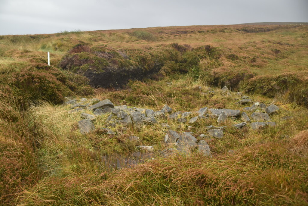 Ancient Ireland Tour