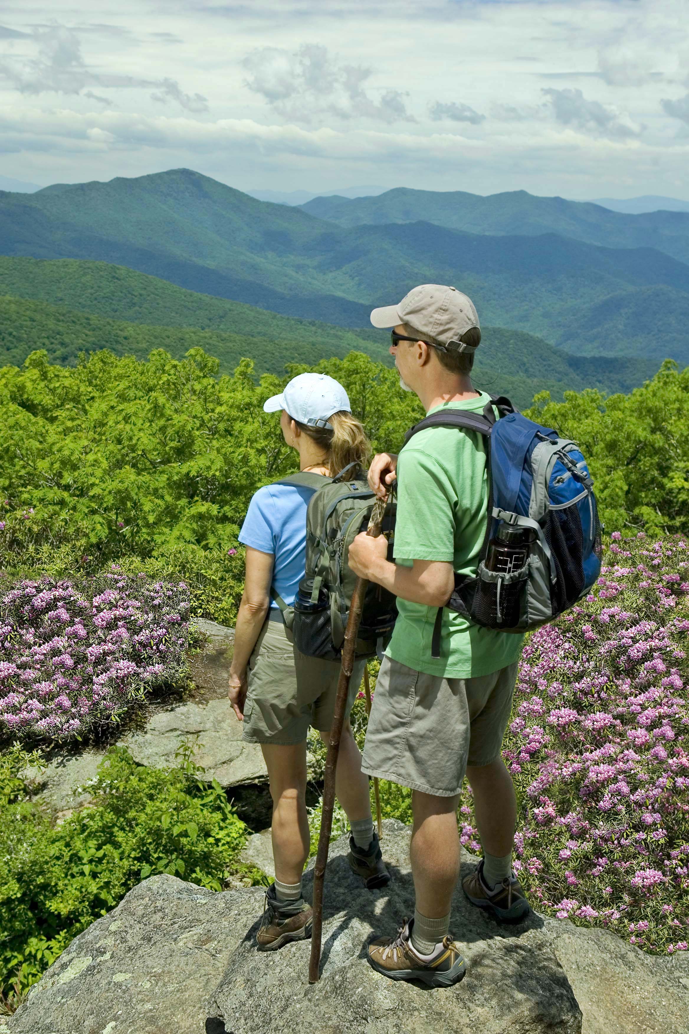 Asheville Experience scenery