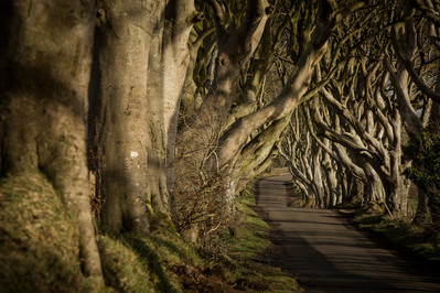 Game of Thrones Tour