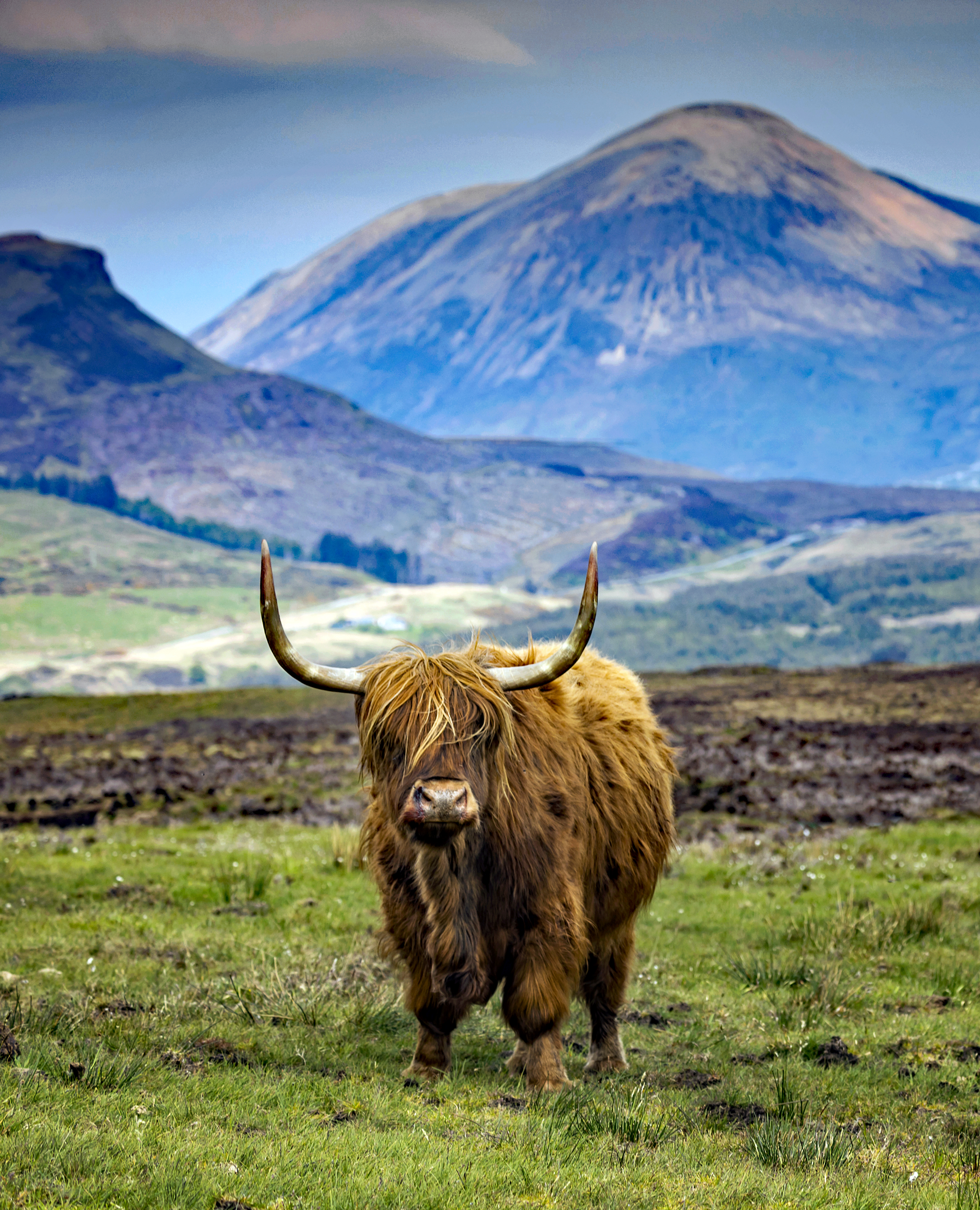 Highland Tour scenery