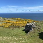 Great_Orme_Wales (12)